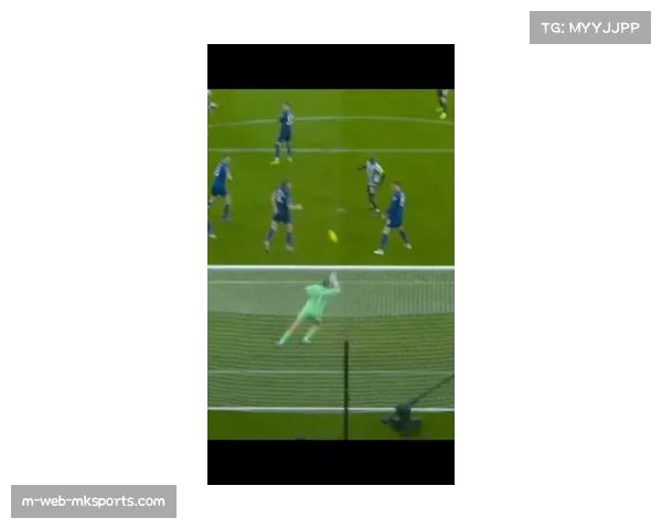 埃弗顿防守体系依赖皮克福德，门将多次神扑难阻整体失守